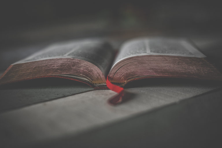 Read more about the article Scripture Reading: February 2024