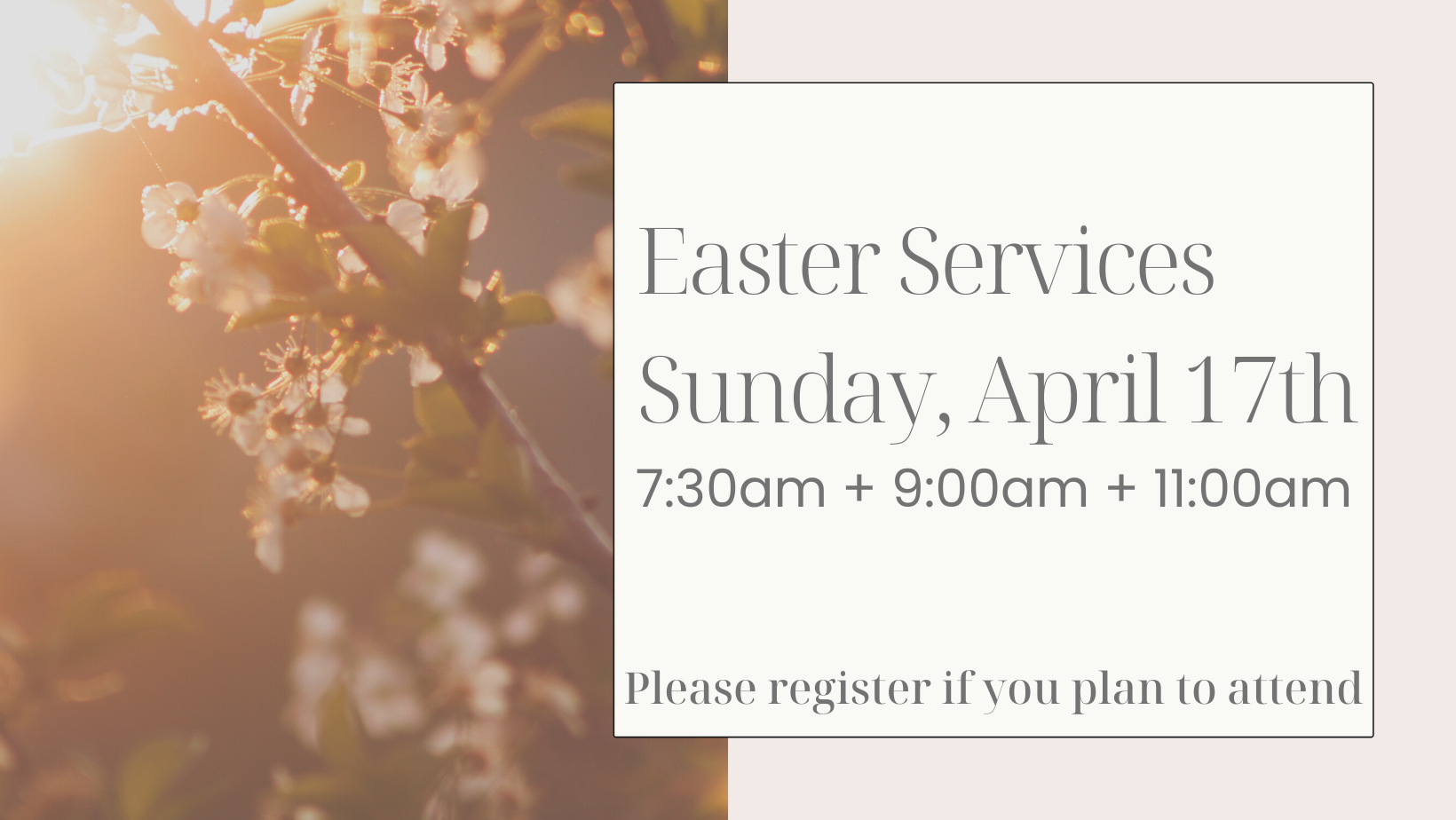 You are currently viewing Easter Services