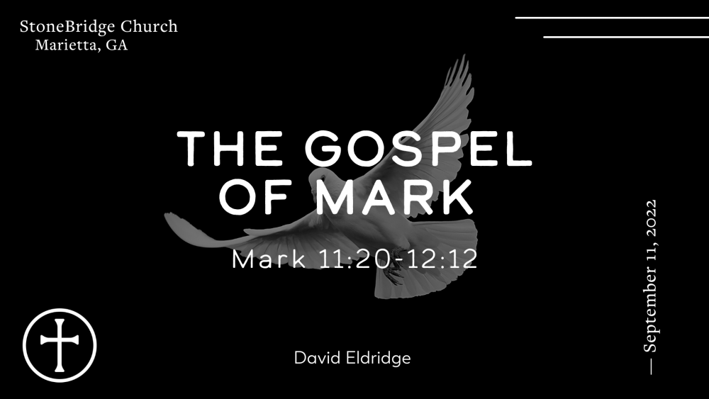 Mark 11:20-12:12 Image