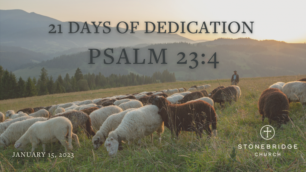 Psalm 23:4 Image