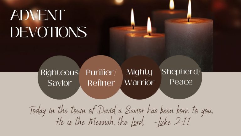 Read more about the article Advent Devotion: Our Shepherd/Peace