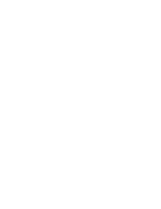say logo_new