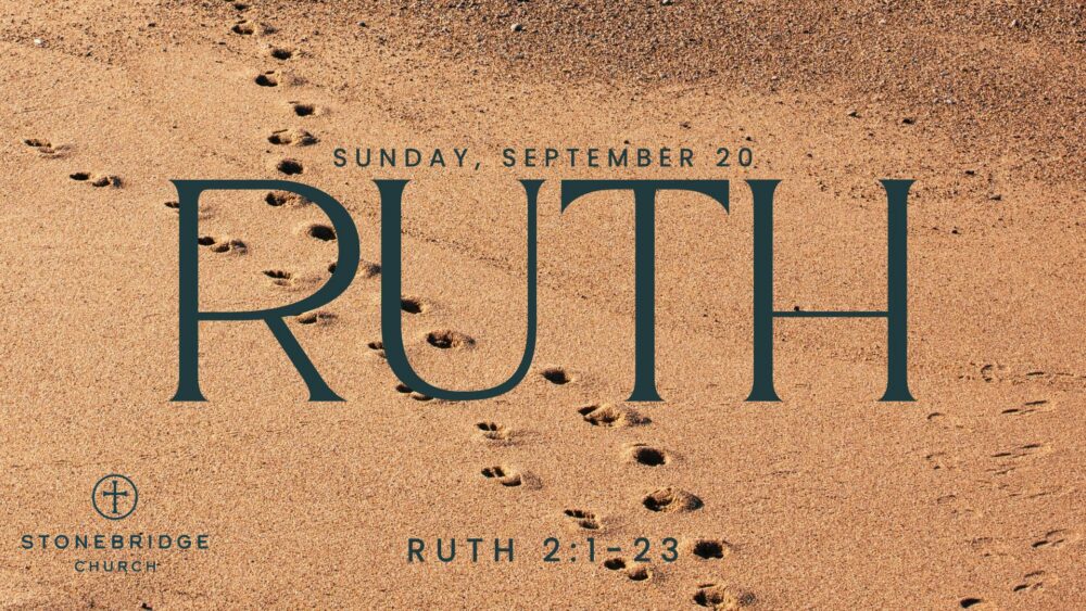 Ruth 2:1-23 Image